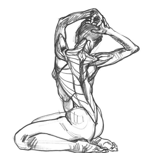 Anatomía Artística | Michel Lauricella