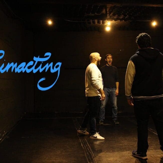 Curso de Acting para animadores Online
