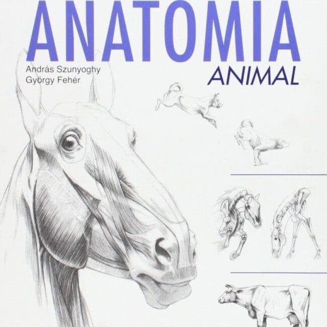 Escuela de Dibujo de Anatomía Animal | András Szunyoghy