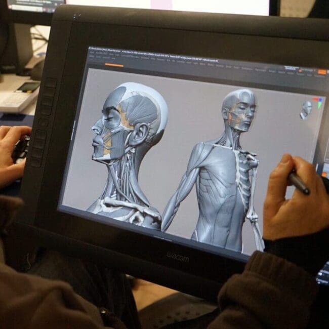 Curso de Anatomía Artística de Cabeza y Cuello en ZBrush